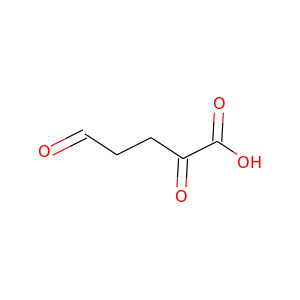 2-oxoglutarate semialdehyde